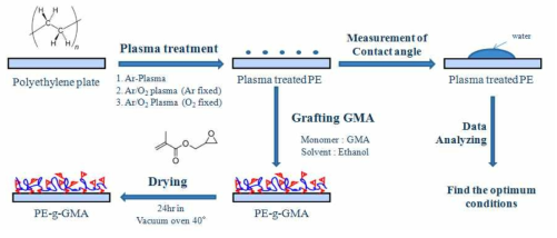 Experimental Procedure