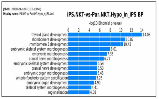 iPS NKT에서 hypo methylated regions의 functional analysis(논문 준비 중)