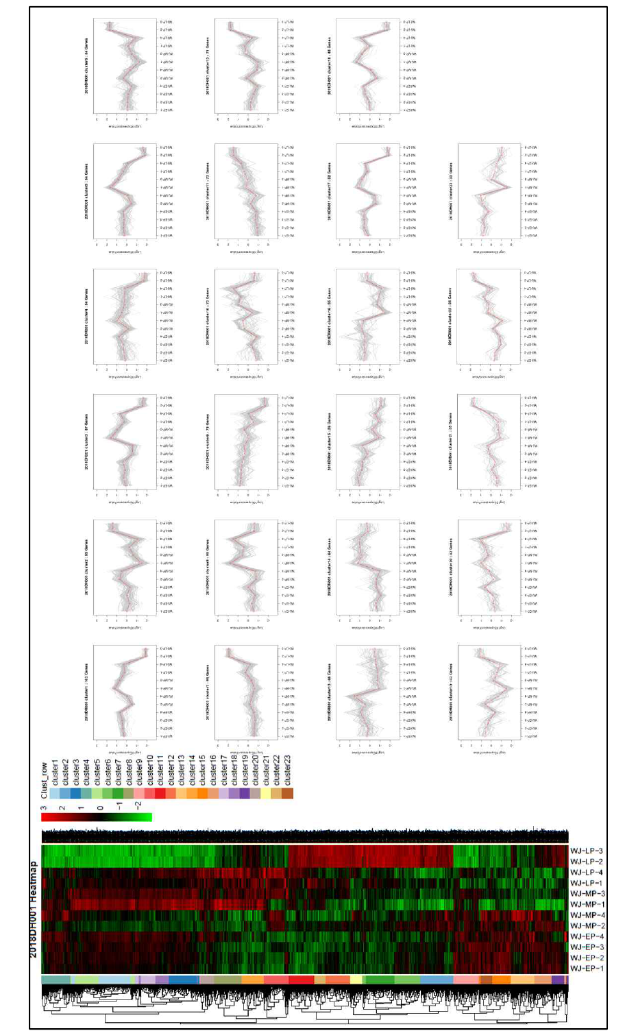 Gene module의 heat-map과 trend-line (논문 준비 중)