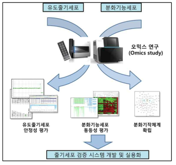 Omcis 분석의 통합을 통한 유도줄기세포의 품질 검증 시스템 개발 및 실용화
