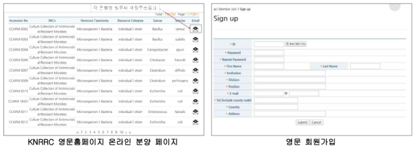 중앙센터 다국어 홈페이지 개선