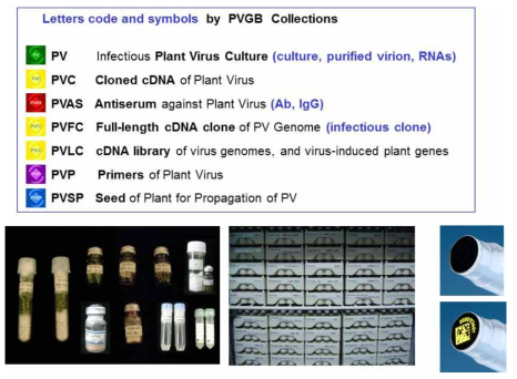 식물바이러스은행 연구소재