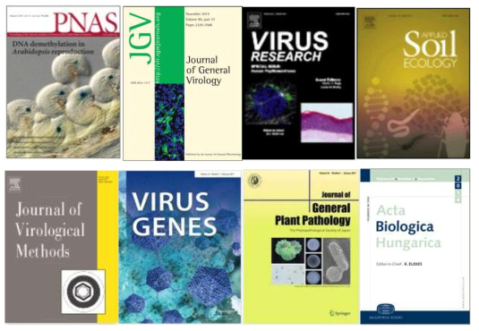 식물바이러스 연구소재 활용 논문 발표 국제 학술지