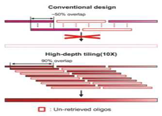 high-depth tiling 방법을 통한 유전자의 합성