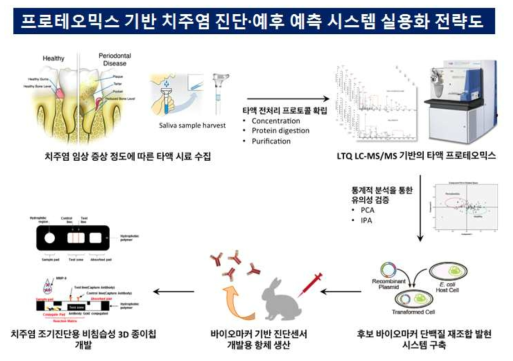 프로테오믹스 기반 치주염 진단·예후 예측 시스템 실용화 전략도