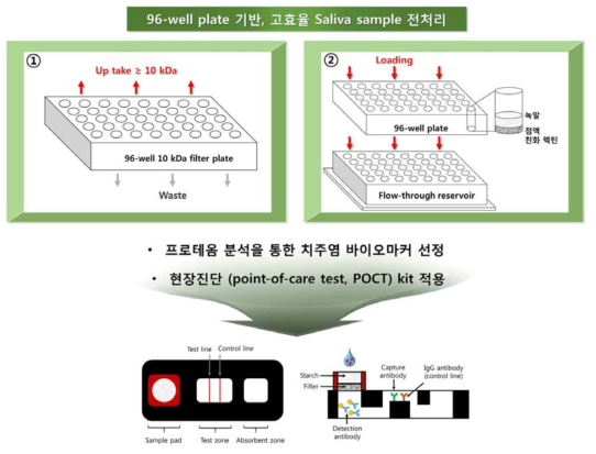 96-well plate 기반, 고효율 Saliva sample 전처리 최적화를 통한 proteomics 분석 및 POCT 적용 개요