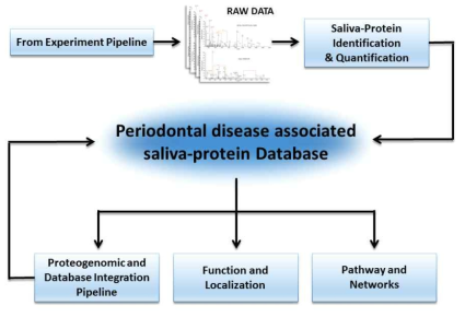 다량의 타액 프로테옴 데이터의 저장, 해석 및 데이터마이닝 개념도