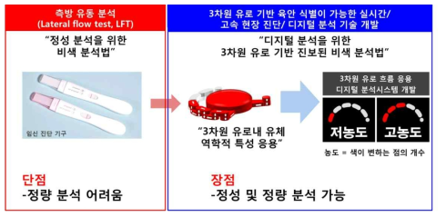 기존 측방 유동 분석의 한계점과 3차원 유로 기반 디지털 분석 기술