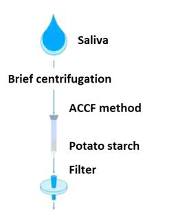 타액 샘플에서 아밀라아제를 제거하는 방법인 ACCF system 모식도