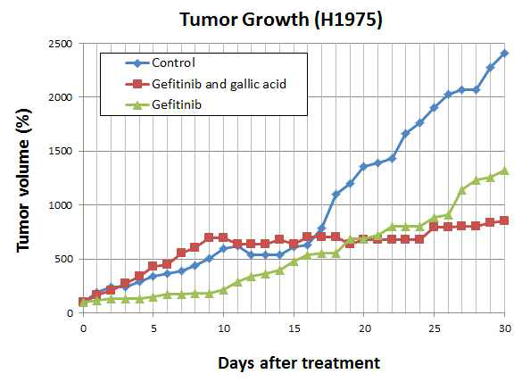 Tumor growth of H1975. Nude mouse (20~25 g, immunity-free, male, BALB/c) 6마리를 2마리씩 3군으로 나누어 right flank에 H1975 2x106을 피하주사한 후, 약 10일 후 종양 크기가 150~200 mm3 (W2 x L x 0.5) 도달하였을 때 경구로 gefitinib (80 mg/kg) 또는 gallic acid (50 mg/kg)를 매일 한번씩 투여. 이후 30일 동안 매일 종양의 크기변화를 관찰