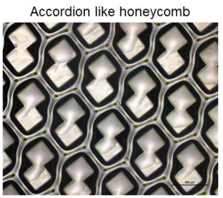 Accordion like honeycomb image