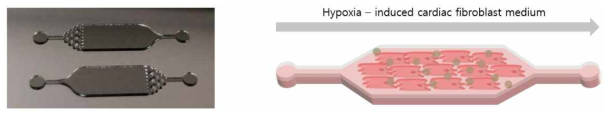 저산소증이 유도된 배지를 흘려 줄 수 있는 마이크로 칩 모식도