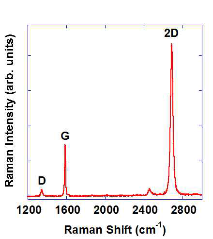 Graphene raman 분석 결과