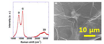 Graphene oxide raman 분석결과 및 FESEM 이미지