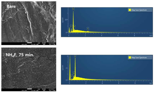NH4F를 사용하여 형성한 보호막의 SEM 및 EDS 분석