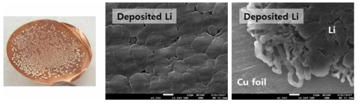 Li2CO3 전극의 전기화학적 분해로부터 얻은 리튬 금속 사진 및 SEM 이미지