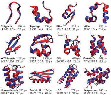 12종의 fast-folding 단백질