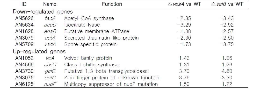 Certain VosA-VelB direct target genes