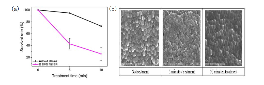 DBD에 의한 공기 중 박테리아 제거 결과 (a) 처리시간에 따른 부유세균 생존율 (b) 부유세균의 SEM 이미지