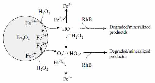 고체 촉매 유사 Fenton 반응에 의한 Rhodamine B (RhB) 제거 메커니즘 (Ai et al., 2007)