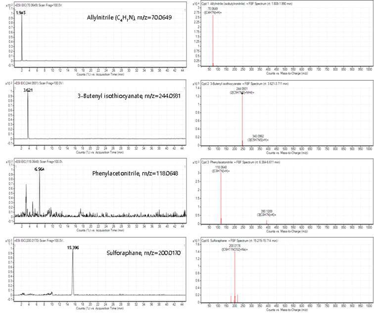 Extracted ion chromatogram of glucosinolate hydrolysis compounds and qTOF spectra obtained in ESI positive mode after in vitro digestion of kale