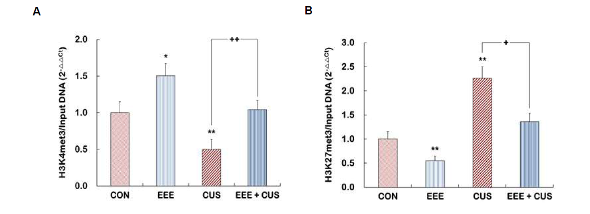 Analysis of the levels of histone H3K4 and H3K27 trimethylation at p11 promoter in the hippocampus of Control, EEE, CUS, and EEE + CUS groups. ChIP assays were performed to measure the levels of H3K4met3 (A) and H3K27met3 (B) at p11 promoter in the hippocampus using specific antibodies. These levels were quantified by RT-PCR. Quantitative analysis was normalized to the ‘input’ DNA. Results are expressed as a value relative to the control group using the 2-△△ct method. N =12-15. Data represent the mean ± S.E.M. *p < 0.05 vs. control group; **p < 0.01 vs. control group; †p < 0.05 vs. CUS group; ††p < 0.01 vs. CUS group