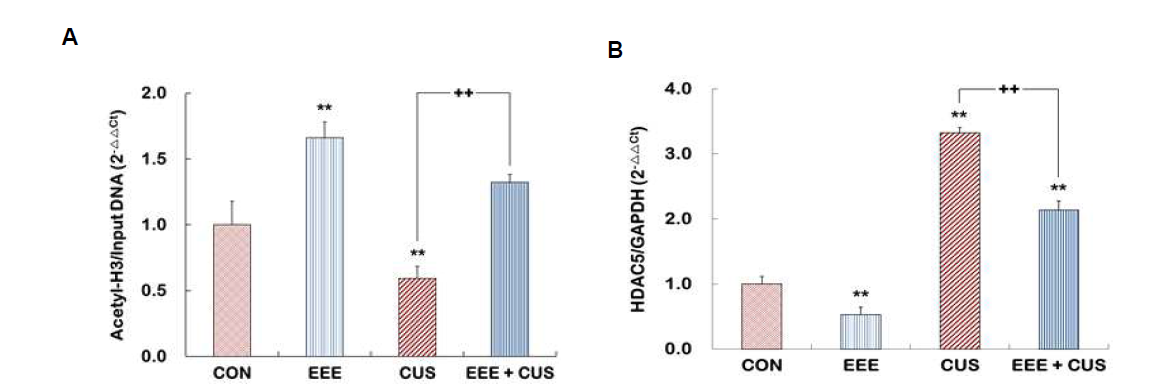 Analysis of the levels of histone H3 acetylation at p11 promoter and HDAC5 mRNA in the hippocampus of Control, EEE, CUS, and EEE + CUS groups. ChIP assays and quantitative RT-PCR were performed to measure the levels of H3 acetylation (A) and HDAC5 mRNA (B). These levels were quantified by RT-PCR. Quantitative analysis was normalized to the ‘input’ DNA. Results are expressed as a value relative to the control group using the 2-△△ct method. N =12-15. Data represent the mean ± S.E.M. **p < 0.01 vs. control group; ††p < 0.01 vs. CUS group