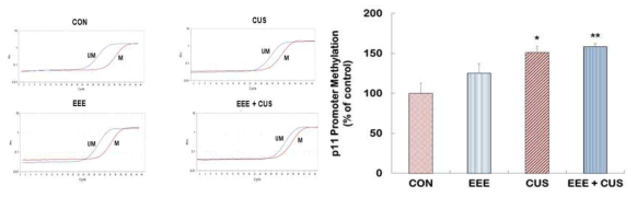 Analysis of the levels of CpG methlyation at p11 promoter in the hippocampus of Control, EEE, CUS, and EEE + CUS groups. Methylation of p11 promoter was examined by MSP assay. All methylation values were normalized to GAPDH. Results are expressed as percentages of the control group using the 2-△△ ct method. N = 5-7. Data represent the mean ± S.E.M. *p < 0.05 vs. control group; **p < 0.01 vs. control group