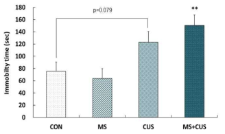 Behavioral changes in the forced swimming test (FST) in control, MS, CUS, and MS + CUS groups. Mice pups were separated from their dams. When they became adults, the rats were subjected to chronic unpredictable stress (n = 11-13 animals/group). Immobility time was measured 24 h after the last CUS session. CON, non-MS, non-CUS mice; MS, MS adult mice; CUS, non-MS, CUS mice; MS + CUS, MS plus CUS mice. Data represent the mean ± S.E.M. **p < 0.01 vs. control group