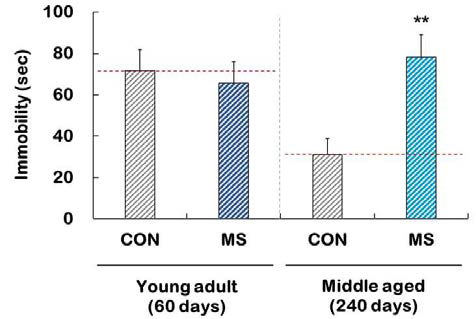 Behavioral changes in the forced swimming test (FST) in control and MS groups of young adult or middle aged adult. N = 10-13. **p < 0.01 vs. control group