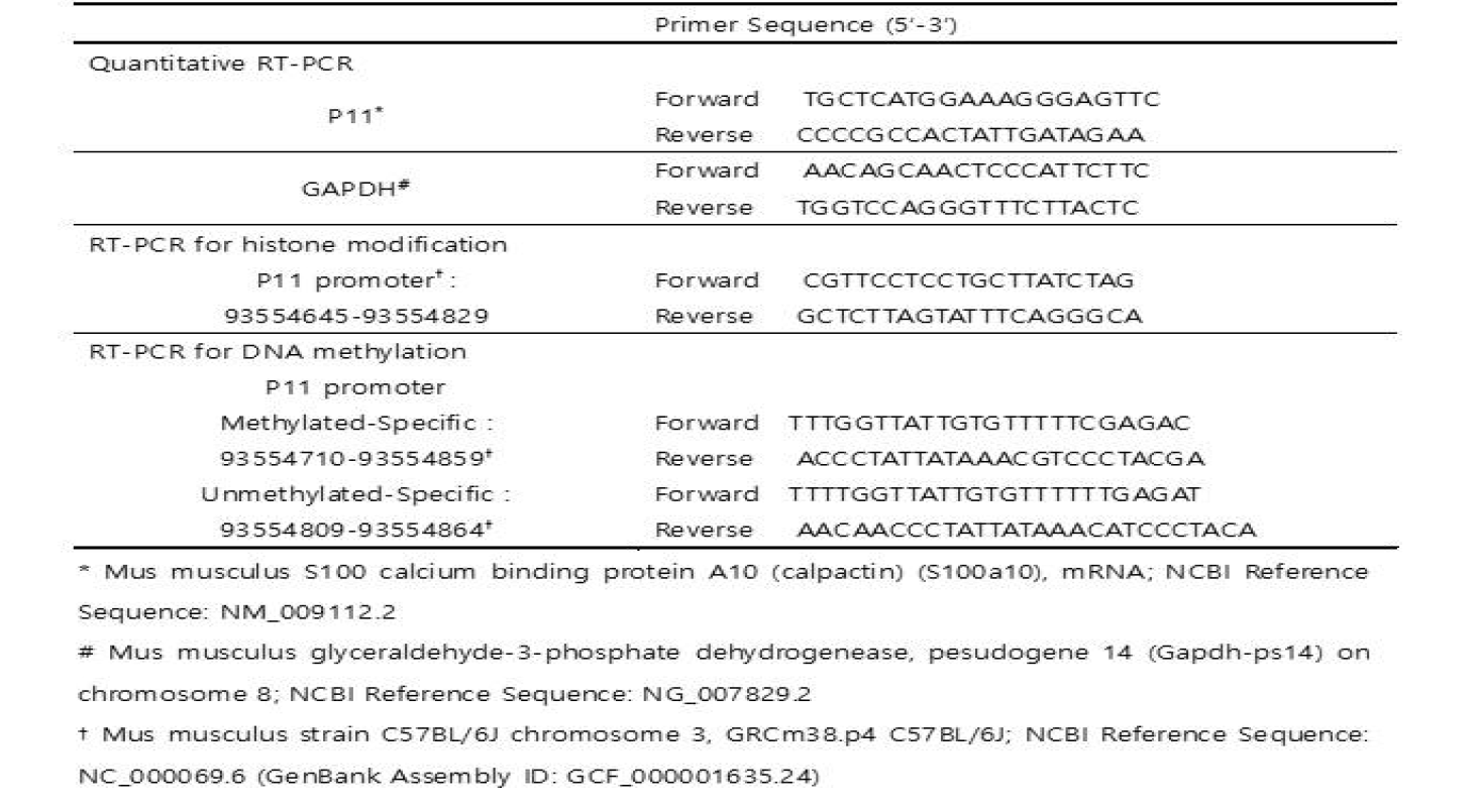 List of primers used in this study