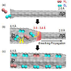 Schematic view of D2 separation in breathing propagation along the 1D channel in MIL-53(Al)