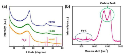(a) 헤모글로빈의 열처리온도에 따른 소재의 XRD결과 (b) 650도에서의 Raman 분광 분석결과