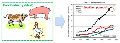 사육산업과 연간 미국 내 고기소비량 (미국 농부부 USDA 통계자료)