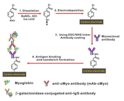 탄소 전극 표면에 특정 항체를 고정시켜 sandwich immunoassay 생성 기법 모식도