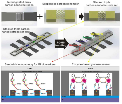 중첩형 3중 탄소 나노전극 세트 기반 심근경색증(MI) 조기 진단 및 혈당 측정용 복합 바이오센서 어레이 칩 개념도