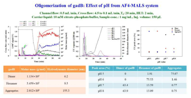 AF4-MALS를 이용한 GAD의 pH변화에 따른 안정성 평가 결과