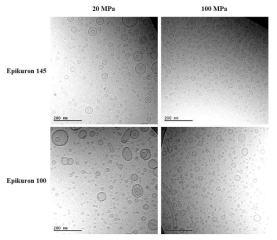 Epikuron 100과 145를 다른 압력에서 제조한 lipid vesicle의 cryo-TEM 이미지