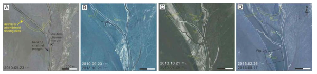 2010년부터 2015년 사이 상부 조간대와 연결된 조수로의 이동 양상을 보여주는 위성사진