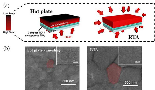 (a) RTA 공정의 열전달 메커니즘, (b) 공정 방법에 따른 페로브스카이트 박막의 SEM 이미지