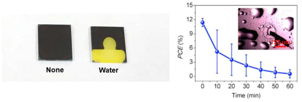 (좌) 수분에 노출된 페로브스카이트 박막의 사진, (우) 페로브스카이트 태양전지의 시간에 따른 효율 저하