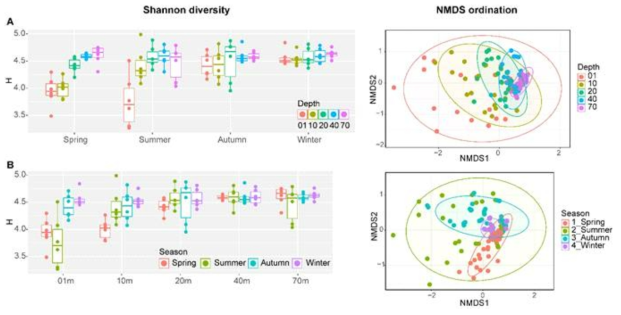 계절(A)과 깊이(B)에 따른 샤논 다양성 지수 분포와 NMDS ordination