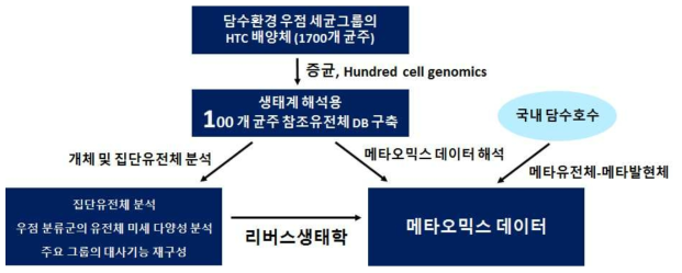 본 연구의 개요