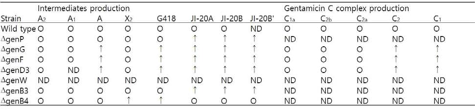 Gentamicin C의 3’,4’-dideoxygenation 관련 7종의 재조합 균주 생성물의 구조 분석 결과