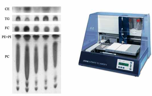 high-performance thin-layer chromatography를 이용한 lipid composition 분석