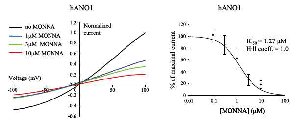 MONNA가 selective하게 ANO1을 block 하는 것을 확인할 수 있음