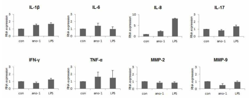 IL-4 와 LPS 처리후 Inflammation markers qPCR