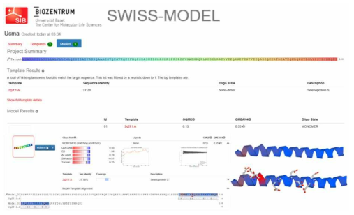 SWISS-Model을 이용한 GRP/Ucma 단백질의 3차원 예상 구조