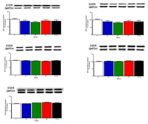 Relative expression levels of dopamine receptors (DRs) in the striatum of mice treated with As, Pb, As+Pb(AP), As+Pb 1/10(AP 1/10) group. Values represent the means ± SEM of each group (n=5). Dopamine receptor 1 (D1DR); 5a, Dopamine receptor 2 (D2DR); 5b, Dopamine receptor 3 (D3DR); 5c, Dopamine receptor 4 (D4DR); 5d, Dopamine receptor 5 (D5DR); 5e * p < 0.05, ** p < 0.01, compared with the control group