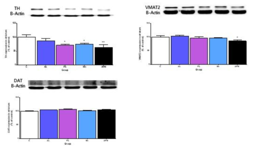 Relative expression levels of tyrosine hydroxylase(TH), vesicular monoamine transporter 2 (VMAT2) and dopamine transporter(DAT) in the striatum of mice treated with As, Pb, Mn, As+Pb+Mn(APM) group. Values represent the means ± SEM of each group (n=5). TH; 7a, VMAT2; 7b, DAT; 7c * p < 0.05, ** p < 0.01, compared with the control group